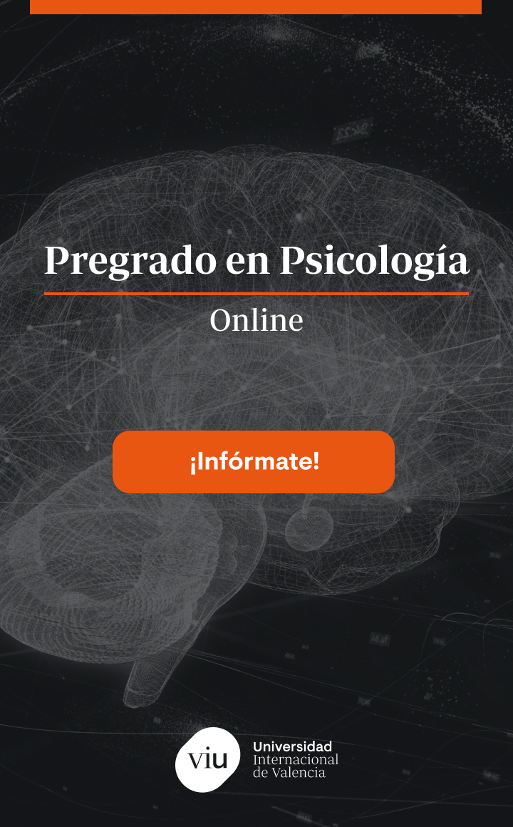 Psicolog a evolutiva y Jean Piaget VIU Internacional